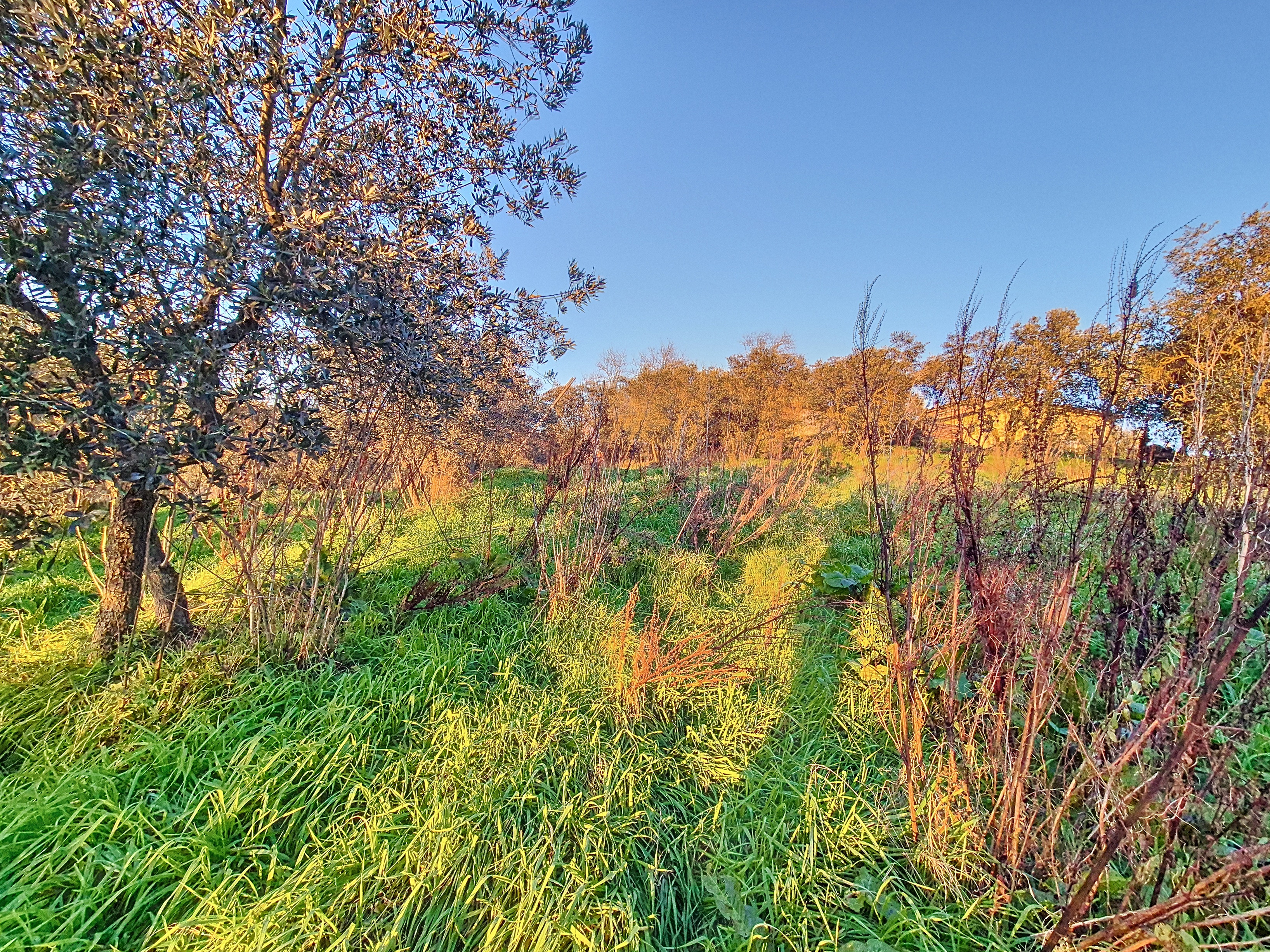 casa castra capraia e limite il campo