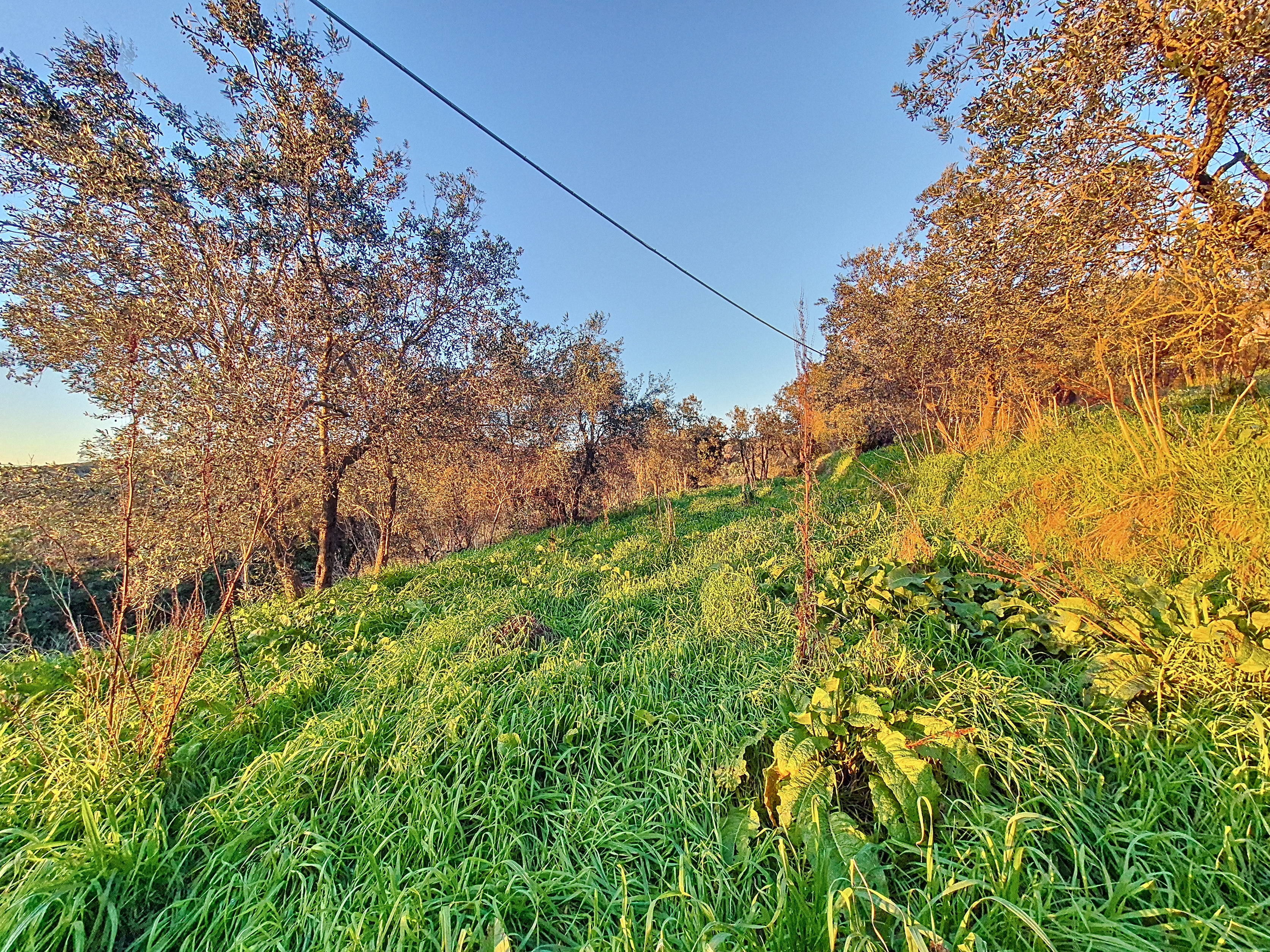 casa castra capraia e limite terreno agricolo