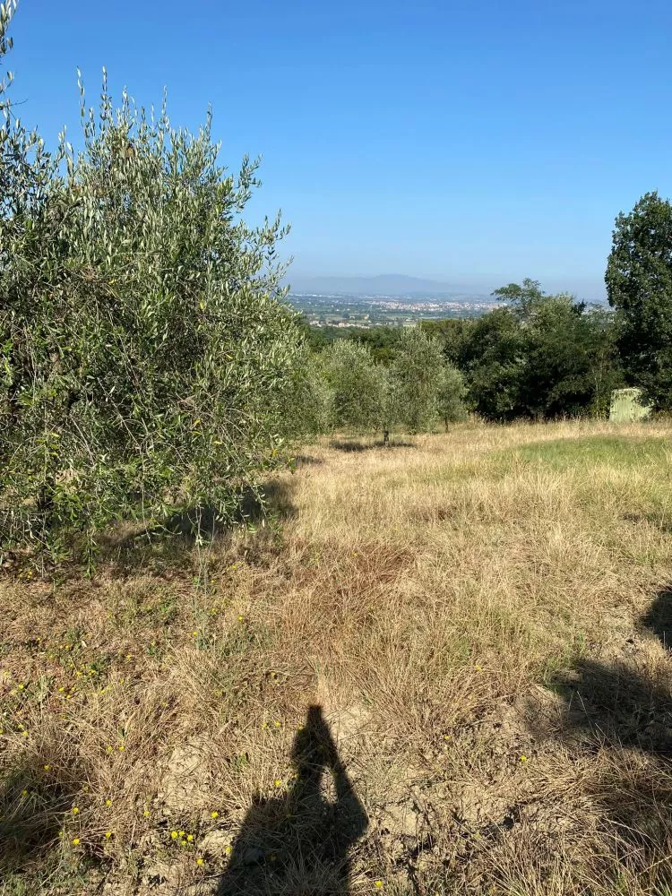 montelupo fiorentino terreno agricolo